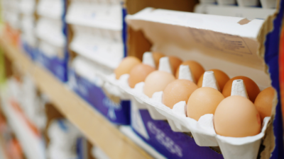 Just in Time for Tariffs, Consumer Prices Finally Drop
